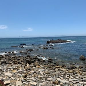 Meet your Posher, Henry